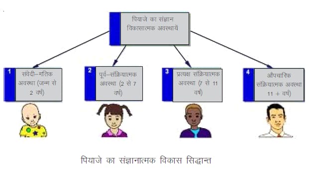 बाल विकास के सिद्धांत