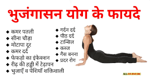 Yog Kya Hai