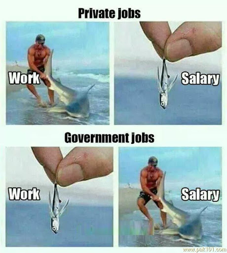 Govt Jobs vs Private Jobs