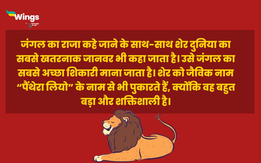 Essay on Lion in Hindi 