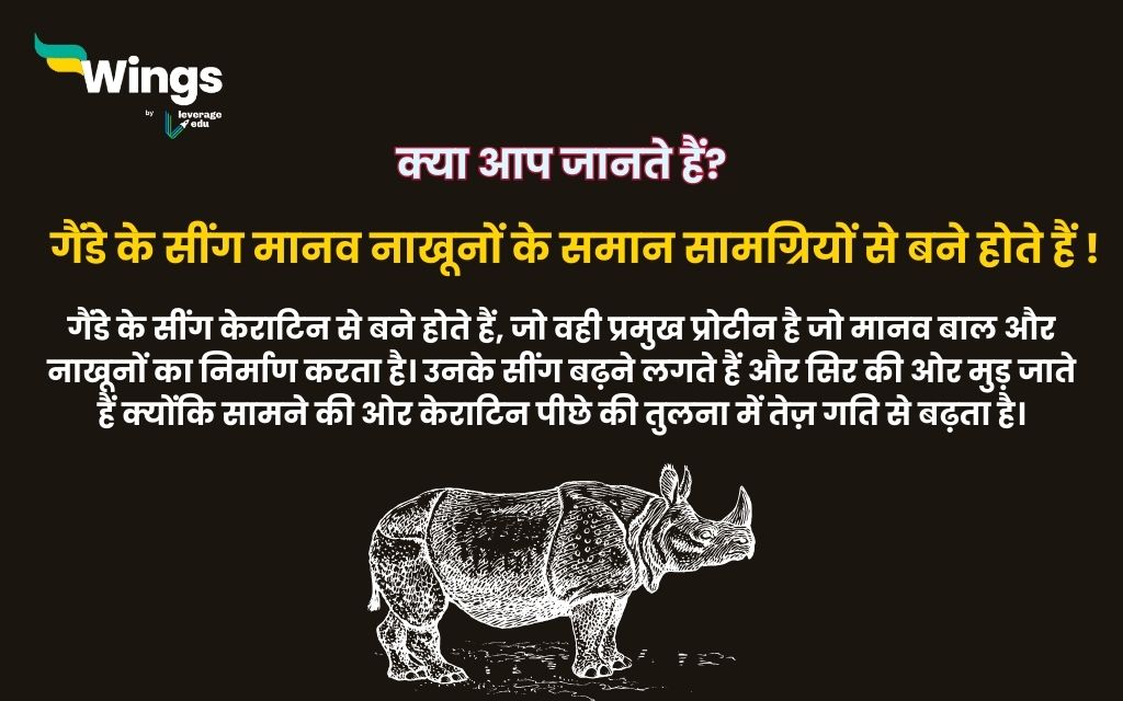 World Rhino Day in Hindi