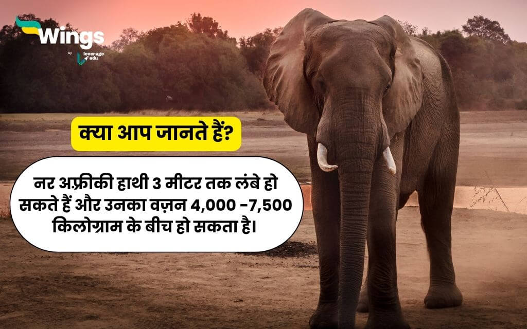 Facts About Elephant in Hindi