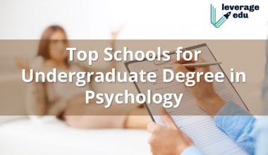 Top Universities for Bachelors Degree in Psychology