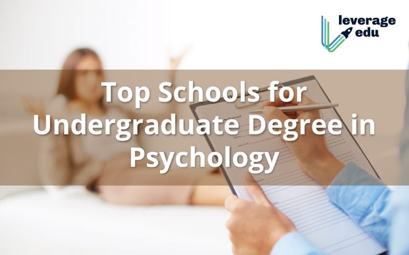 Top Universities for Bachelors Degree in Psychology