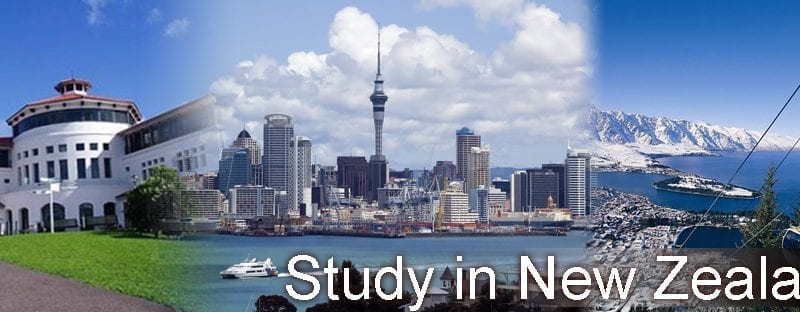 Study In New Zealand: Things To Know Before You Go- Leverage Edu