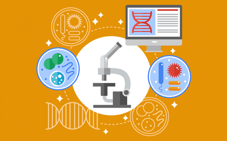 Microbiology Courses [Bachelor’s and Master's Degree] - Leverage Edu