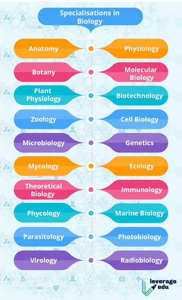 Branches of Biology
