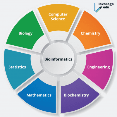 BSc Bioinformatics - Best Bachelor of Science Degrees - Leverage Edu