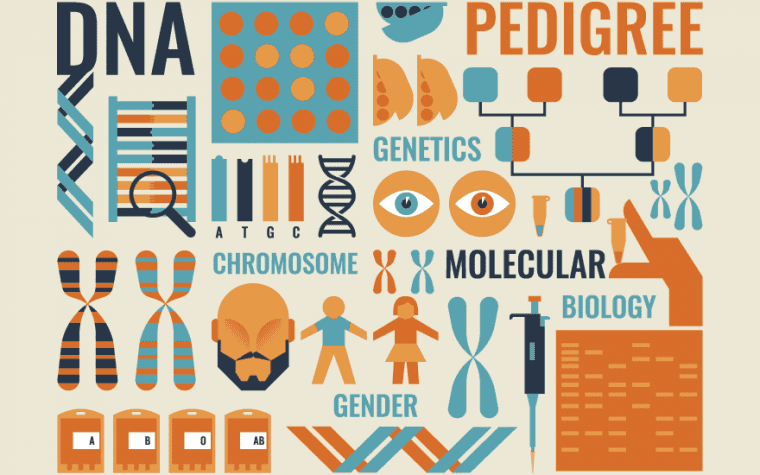 bsc-bioinformatics-best-bachelor-of-science-degrees-leverage-edu