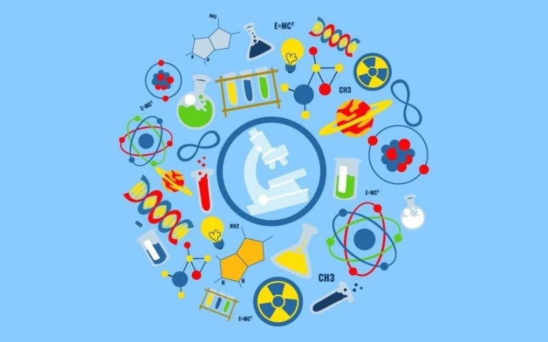 Class 10 Science Syllabus