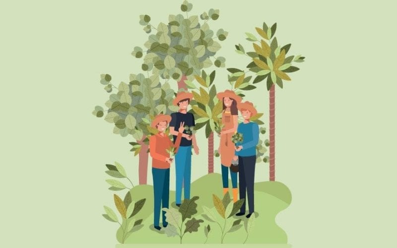 Forestry Courses