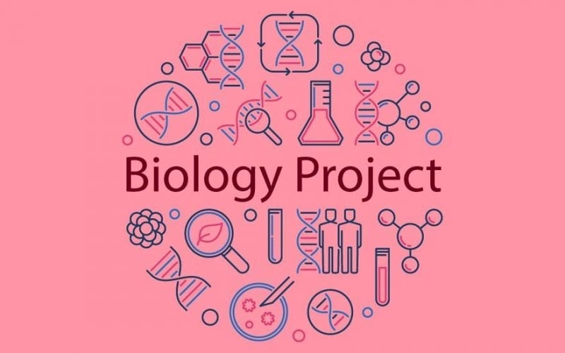 Biology Project for Class 11