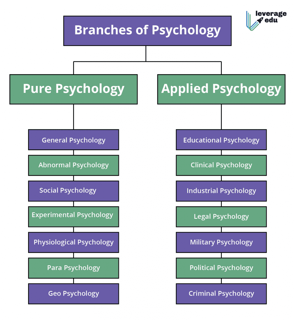 BA Psychology Subjects Syllabus Scope Jobs Salary Leverage Edu