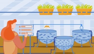 Fish Farming