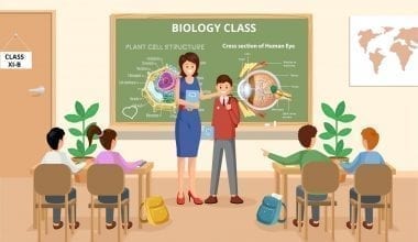 Biology Class 11 Syllabus
