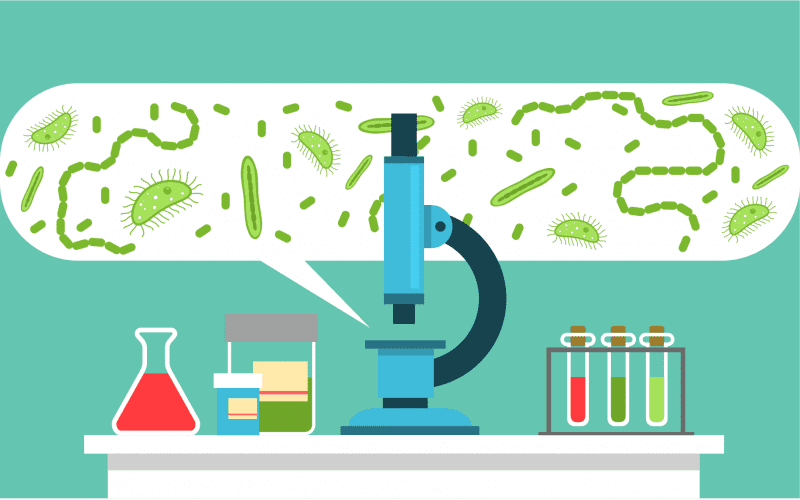 BSc Microbiology