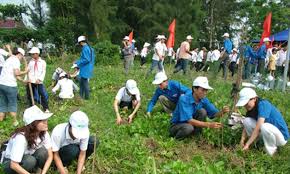 Public Awareness about Environment