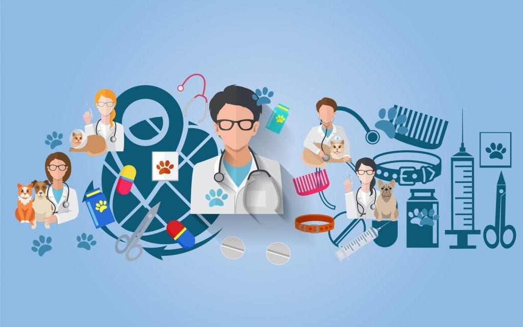 Top Veterinary Colleges In The World 2023| Leverage Edu