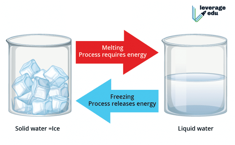 What Are Physical and Chemical Changes - Leverage Edu