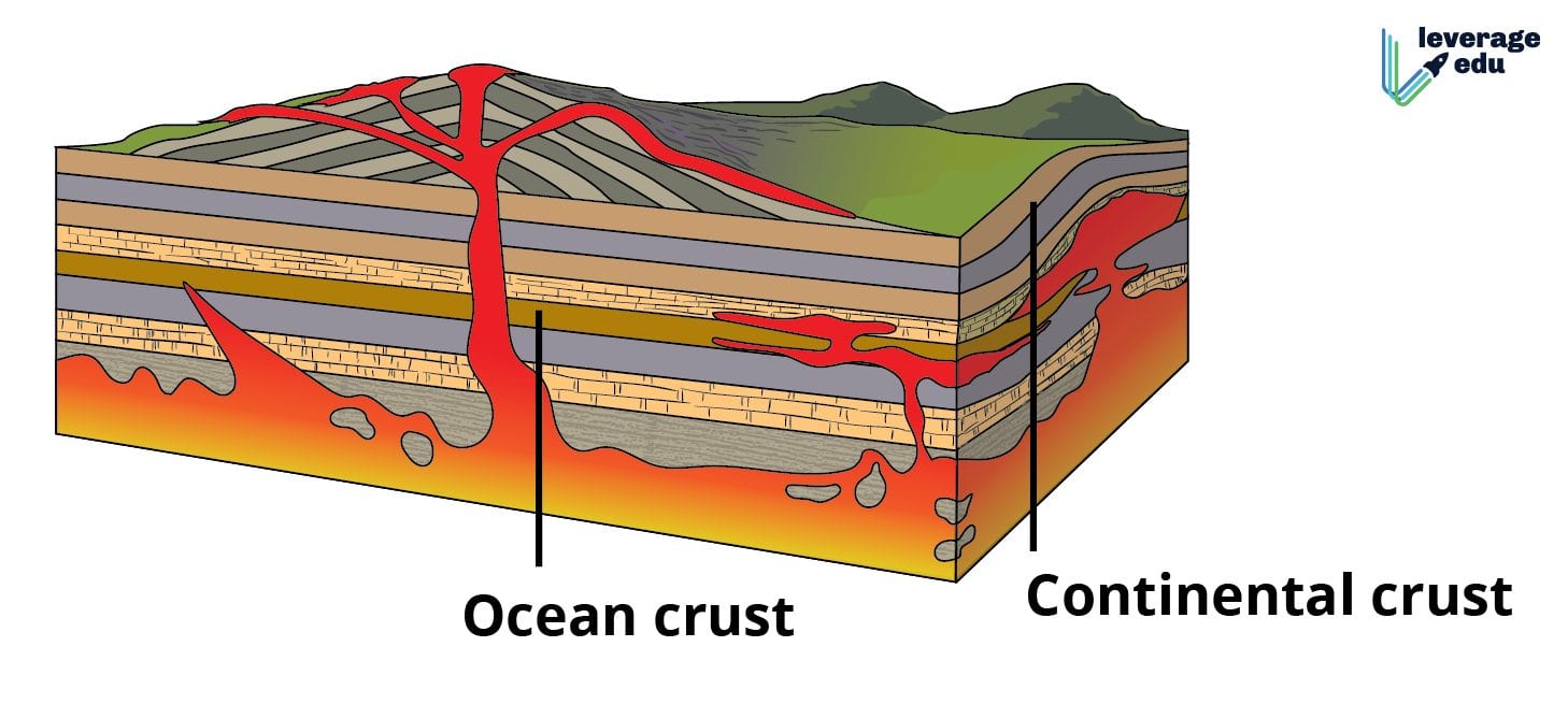 Major Landforms Of The Earth Class 6: CBSE Notes, PPT, MCQ | Leverage Edu