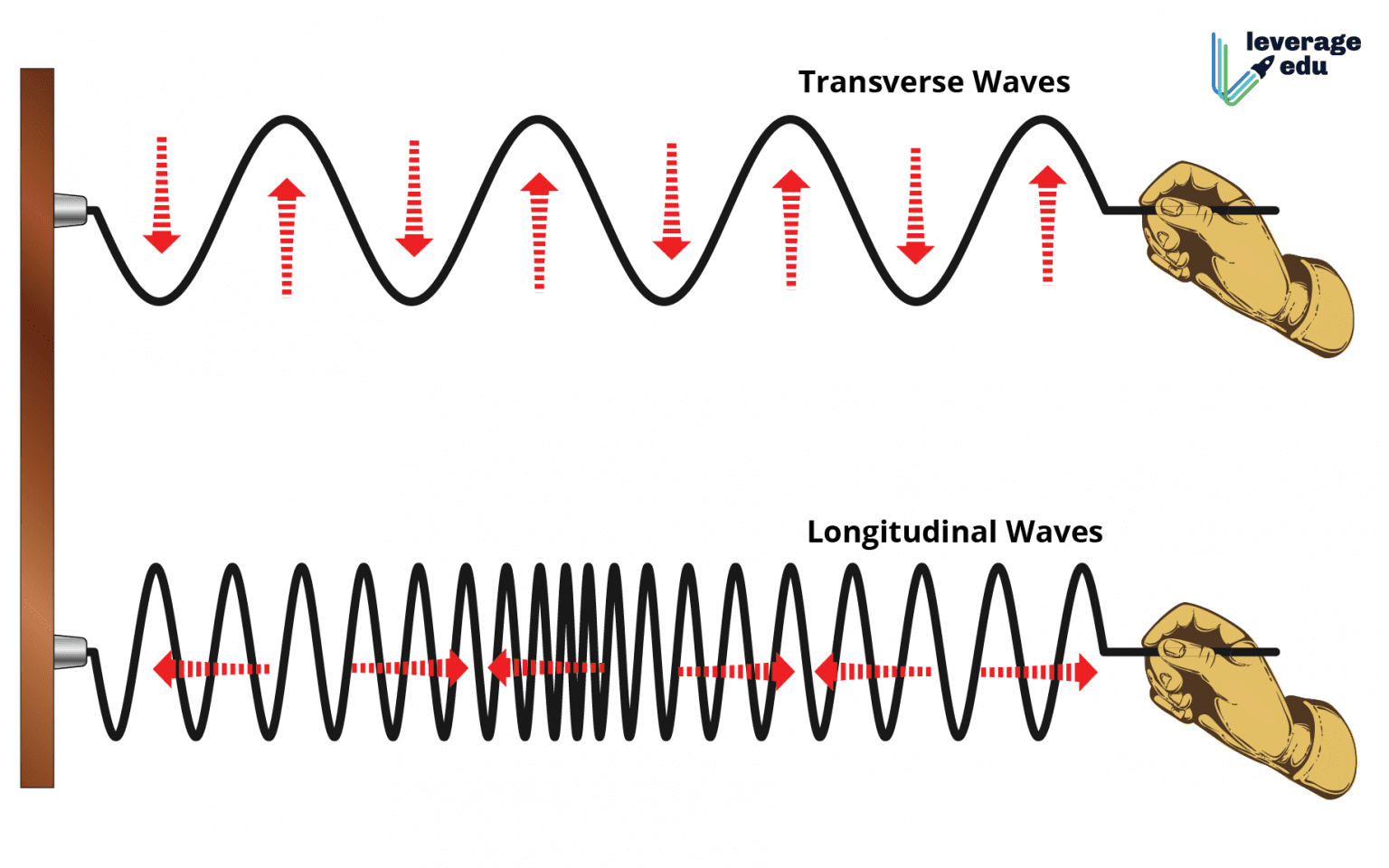 Waves Class 11 Notes, Formulas, NCERT, For NEET Leverage Edu