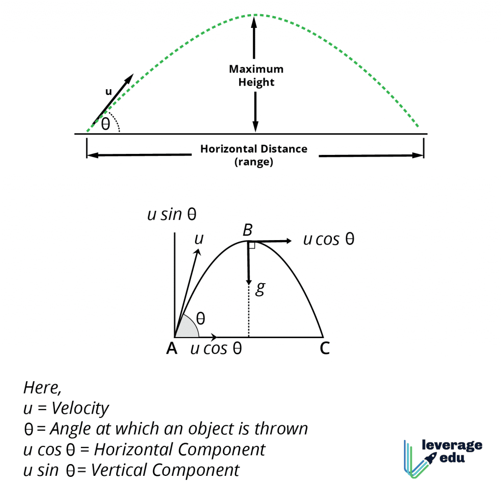 Motion in a Plane: Class 11 Physics with NCERT Solutions | Leverage Edu