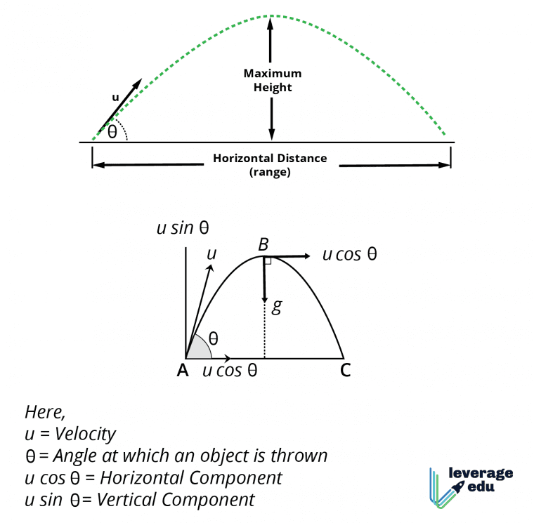 Motion in a Plane: Class 11 Physics with NCERT Solutions | Leverage Edu