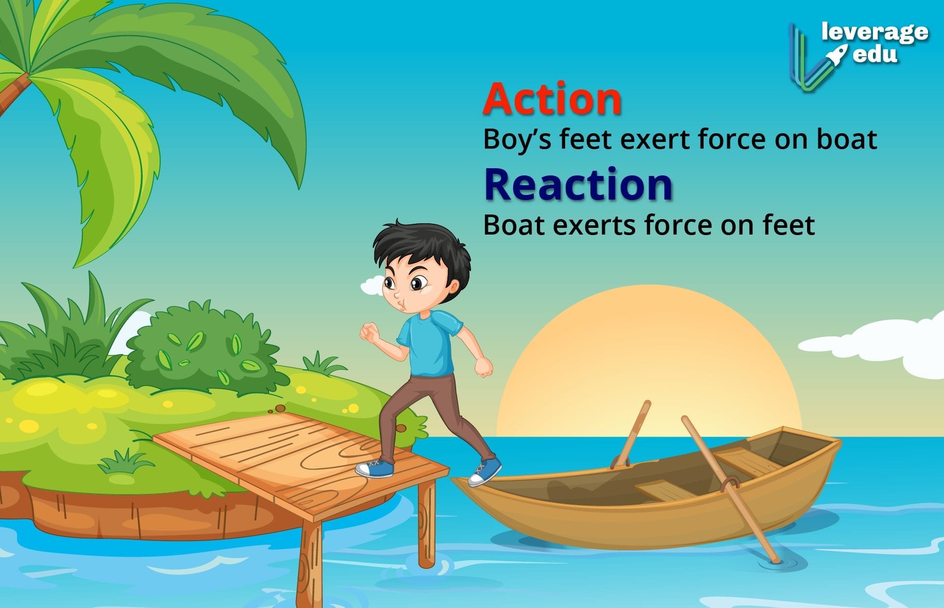 Laws of Motion Class 11 Notes and Questions Leverage Edu