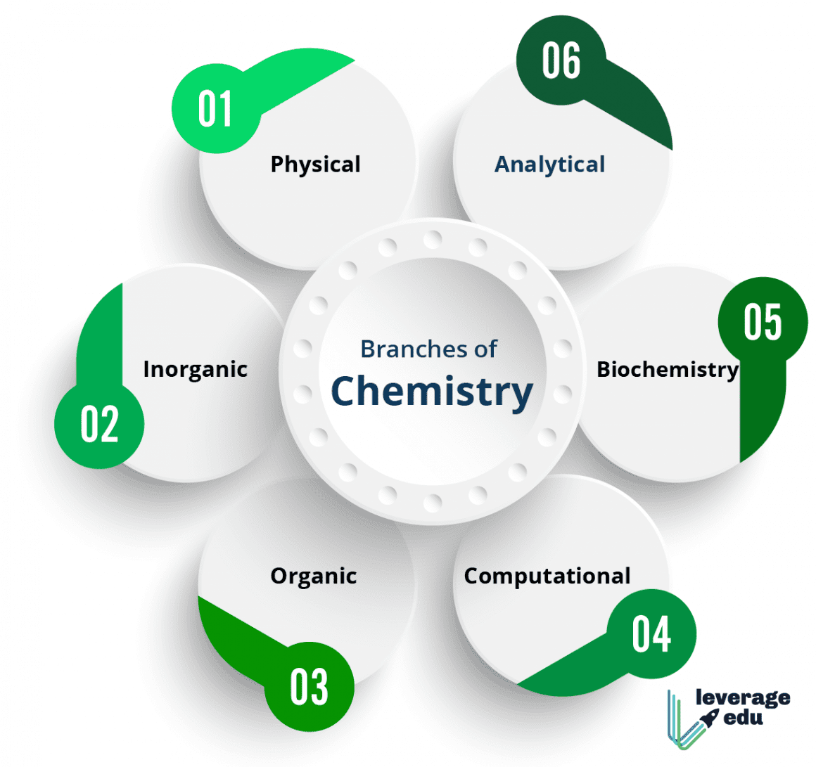 All Branches Of Chemistry With Examples, PDF, PPT | Leverage Edu