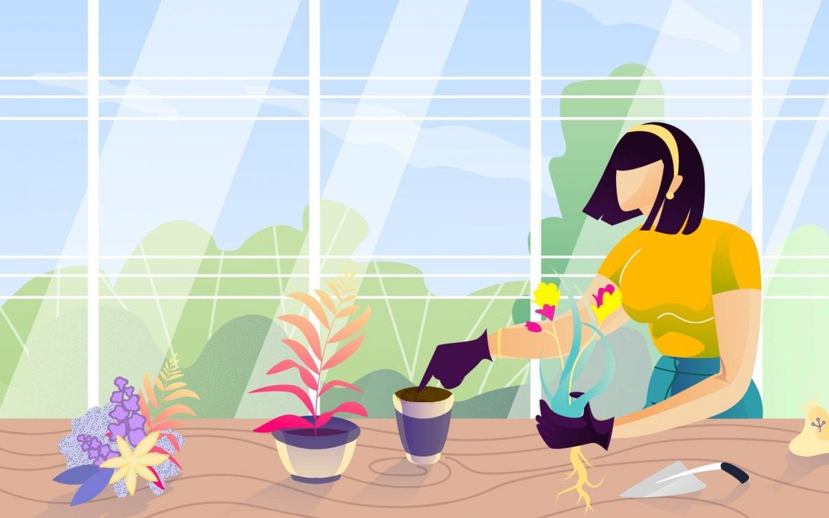 Career in Botany Courses, Colleges, Jobs, Salary, Scope Leverage Edu