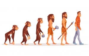 Branches of Anthropology