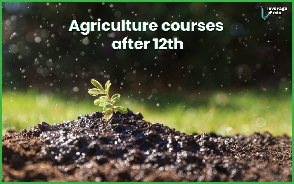 Agricultural Courses After 12th Science, Commerce & Arts Leverage Edu