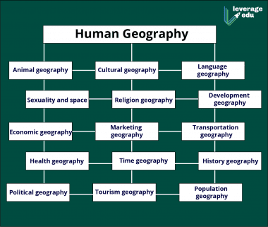 What Are The Branches Of Geography? Explained In Detail | Leverage Edu