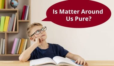 Is Matter Around Us Pure