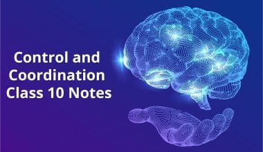 control and coordination class 10 notes