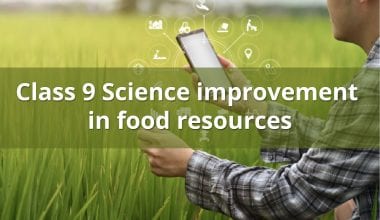 Improvement in Food Resources