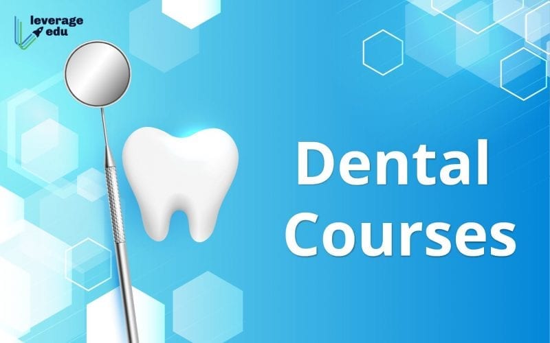 Dental Courses