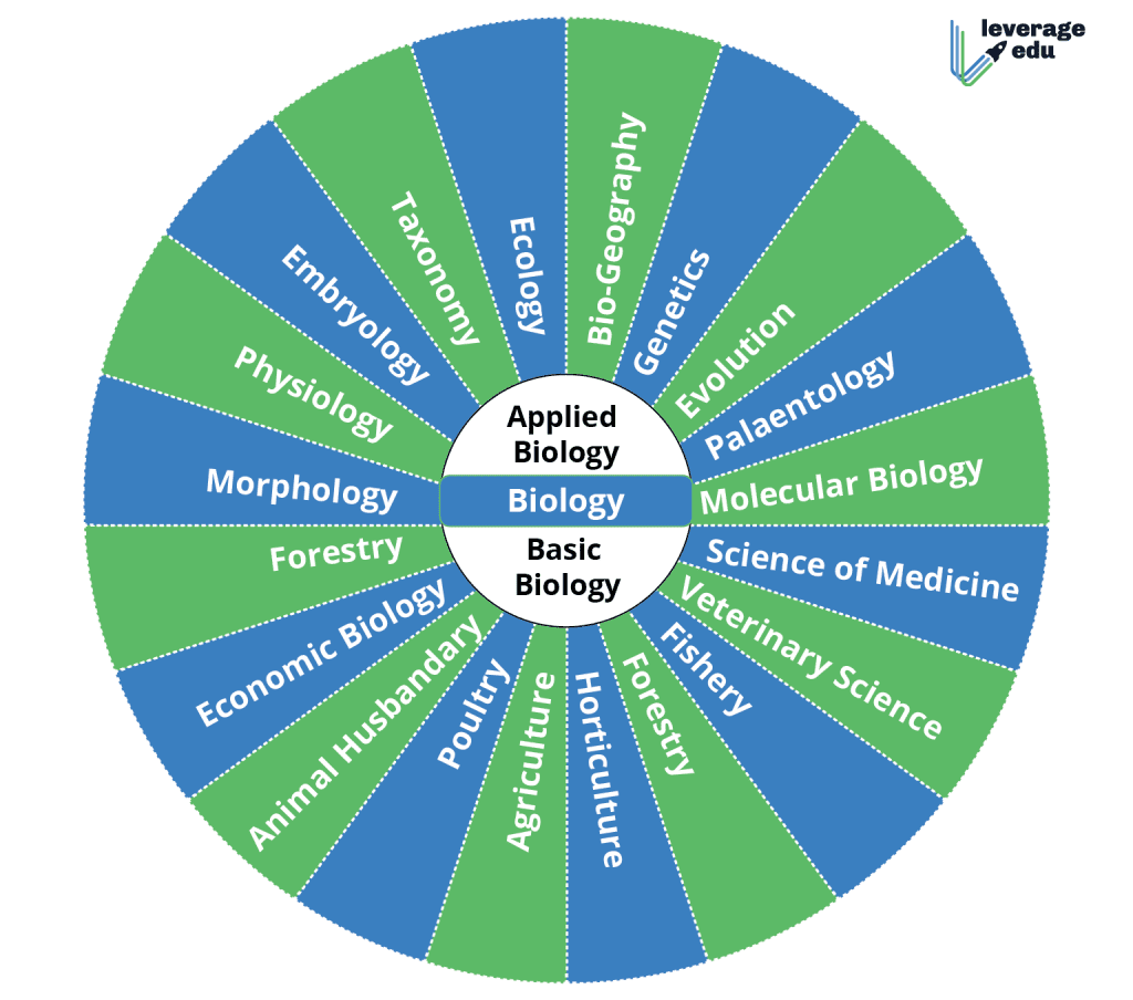 All Branches Of Biology From A To Z: List & Significance | Leverage Edu