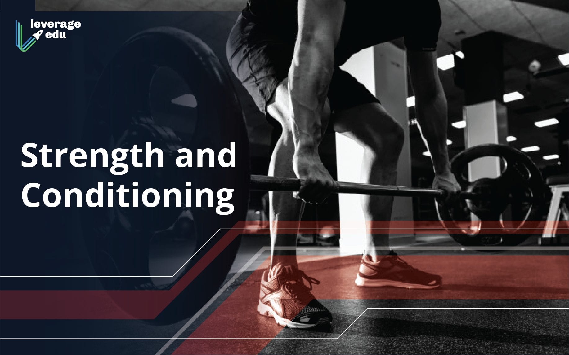 Strength and Conditioning Sydney, Coaches, Programs