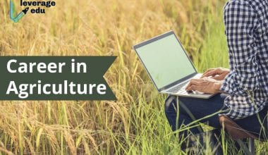 Career in Agriculture
