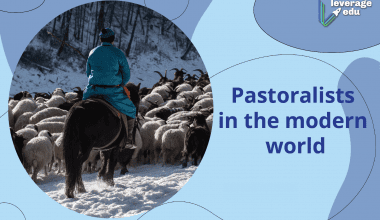 pastoralists in the modern world