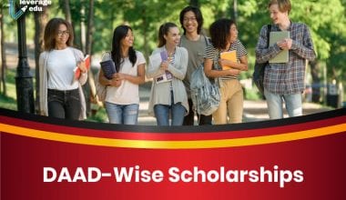 DAAD-Wise Scholarships