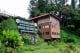 Kinabalu National Park