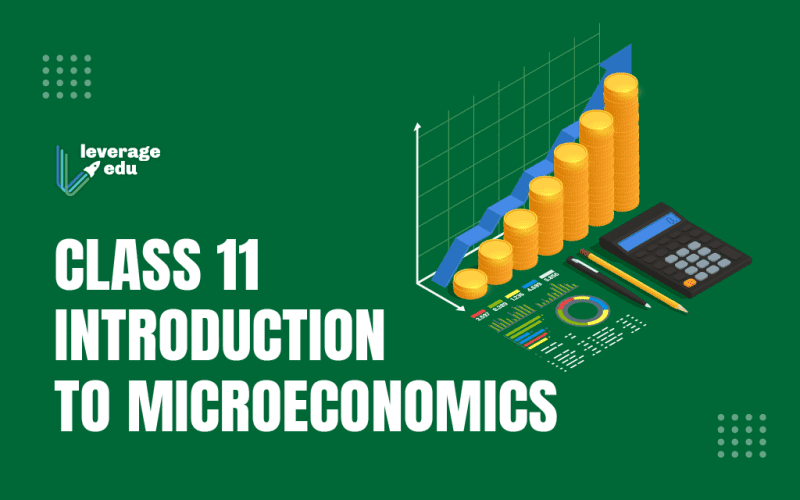 Class 11 Introduction to Microeconomics