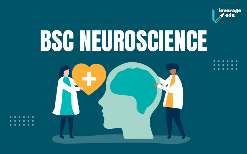 BSc Neuroscience