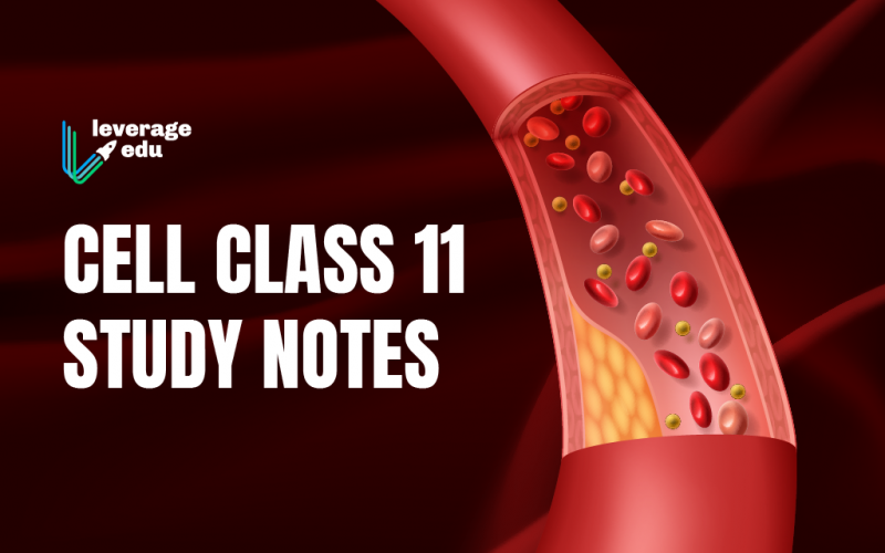 Class 11 Cell