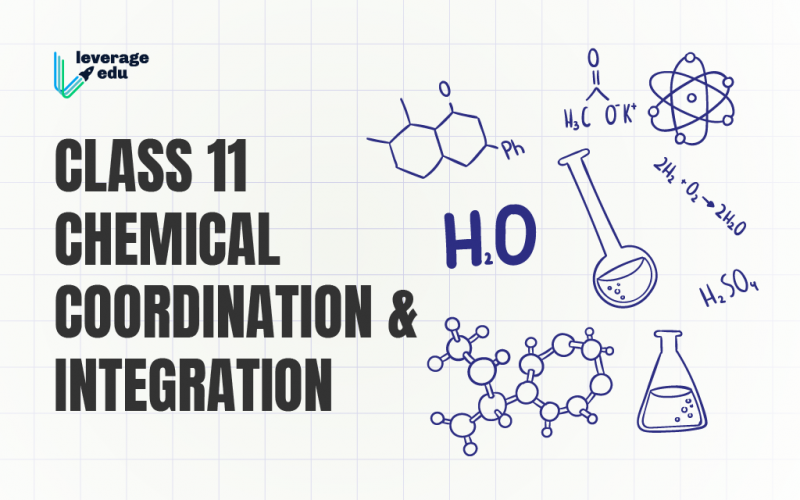 Class 11 Chemical Coordination and Integration