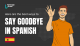 Goodbye in Spanish