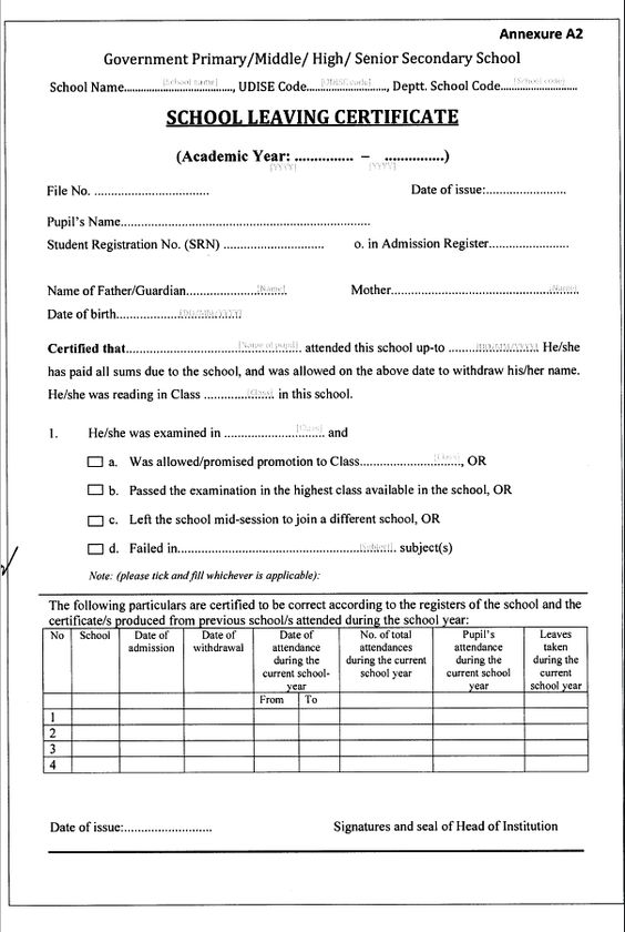 School Leaving Certificate Format