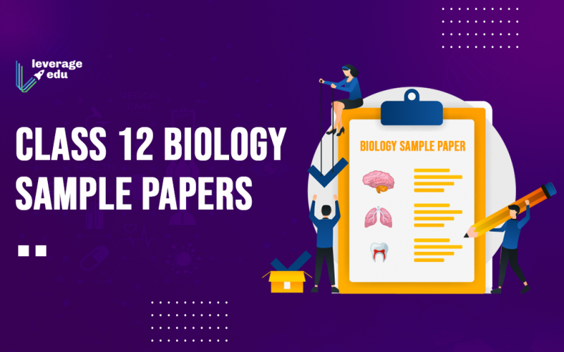 Class 12 Biology Sample Paper